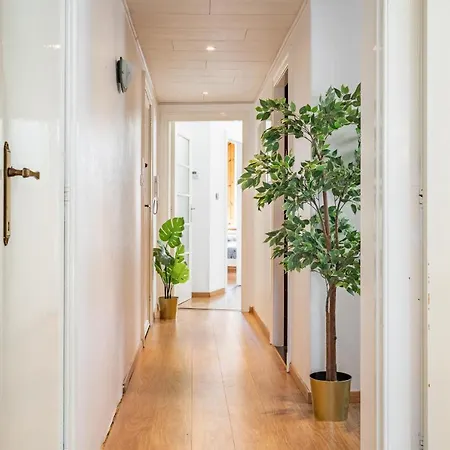 Apartmán Large Center
